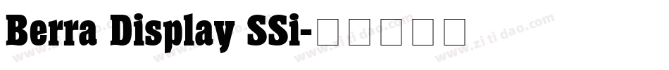Berra Display SSi字体转换